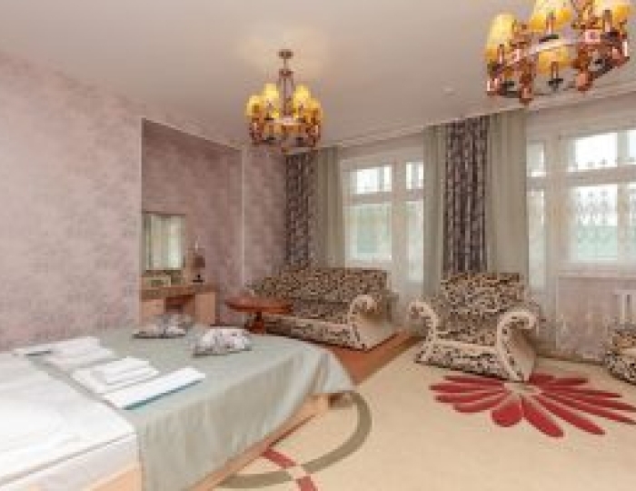 Полулюкс 2-местный - Санаторий «Танып» Новые Казанчи