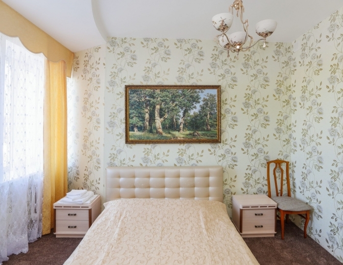 Полулюкс 1-местный (1,4 этаж) - Санаторий «Танып» Новые Казанчи